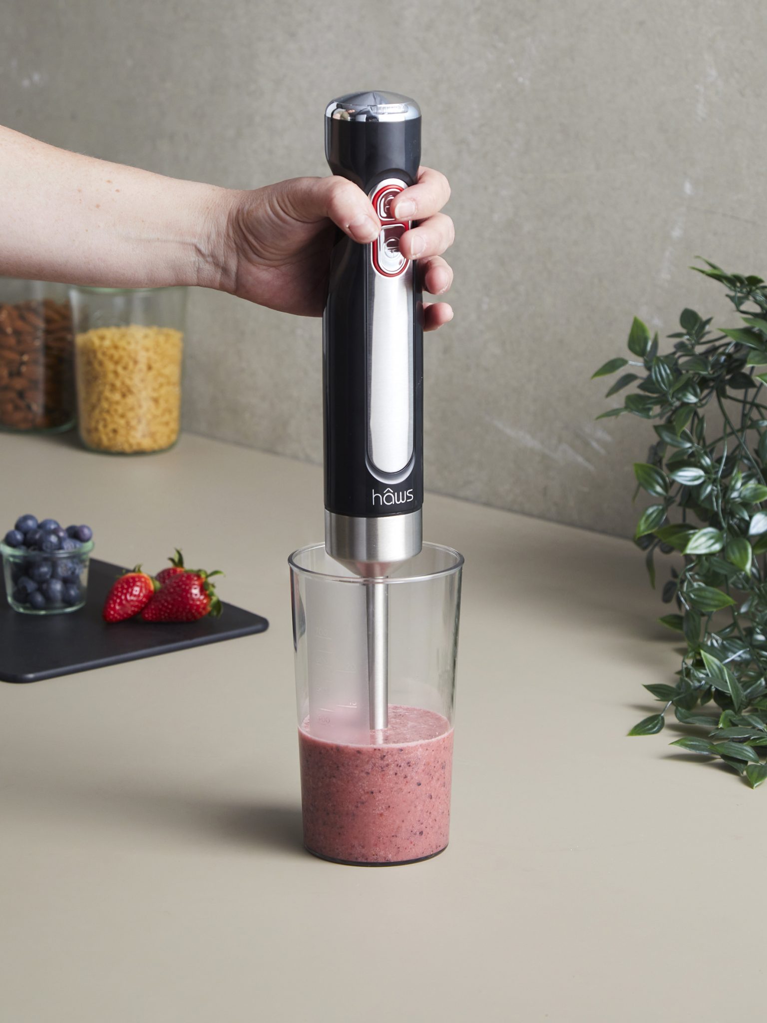 Hâws Ledningsfri Stavblender SBT100 - Billede 3